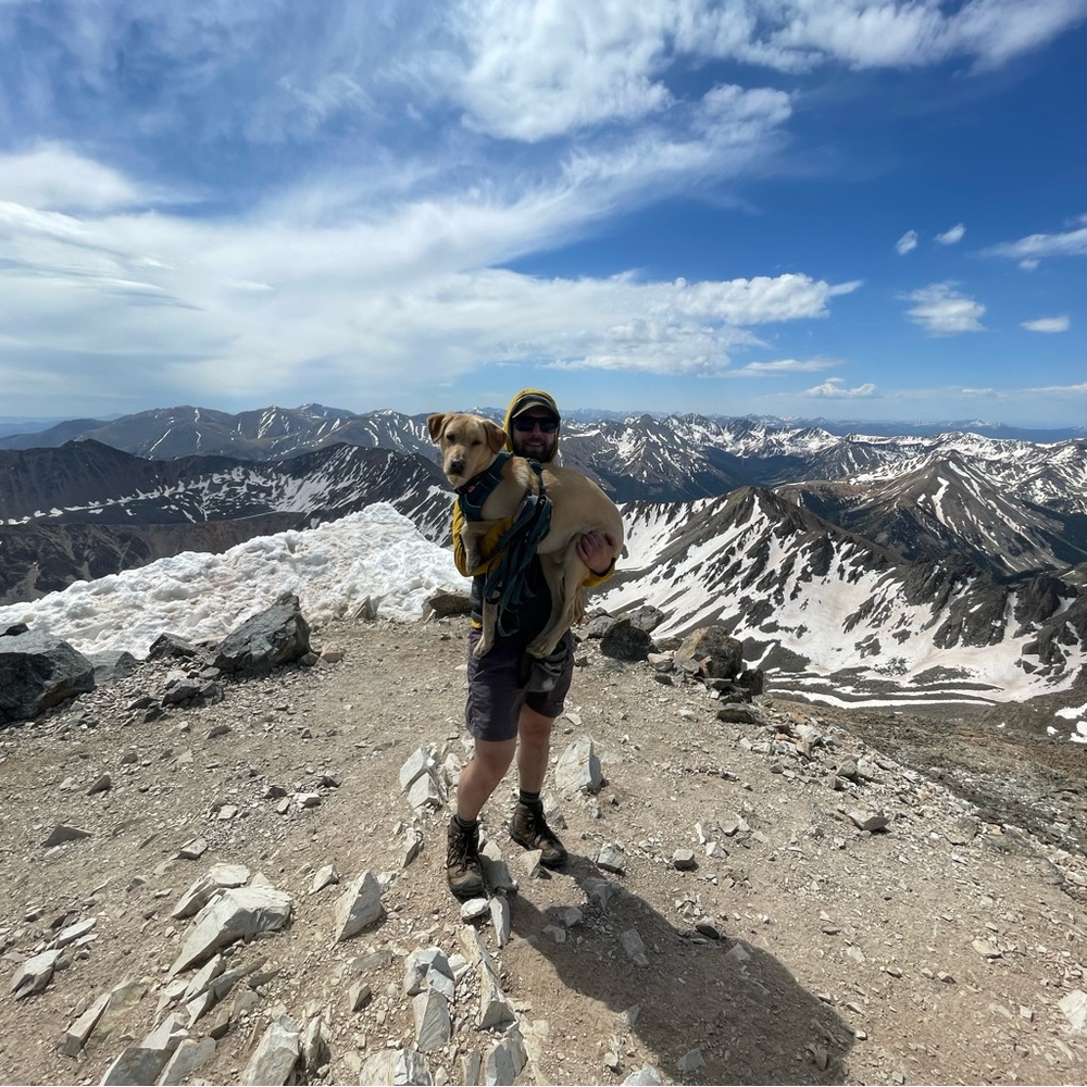 Meet your Posher, Jake